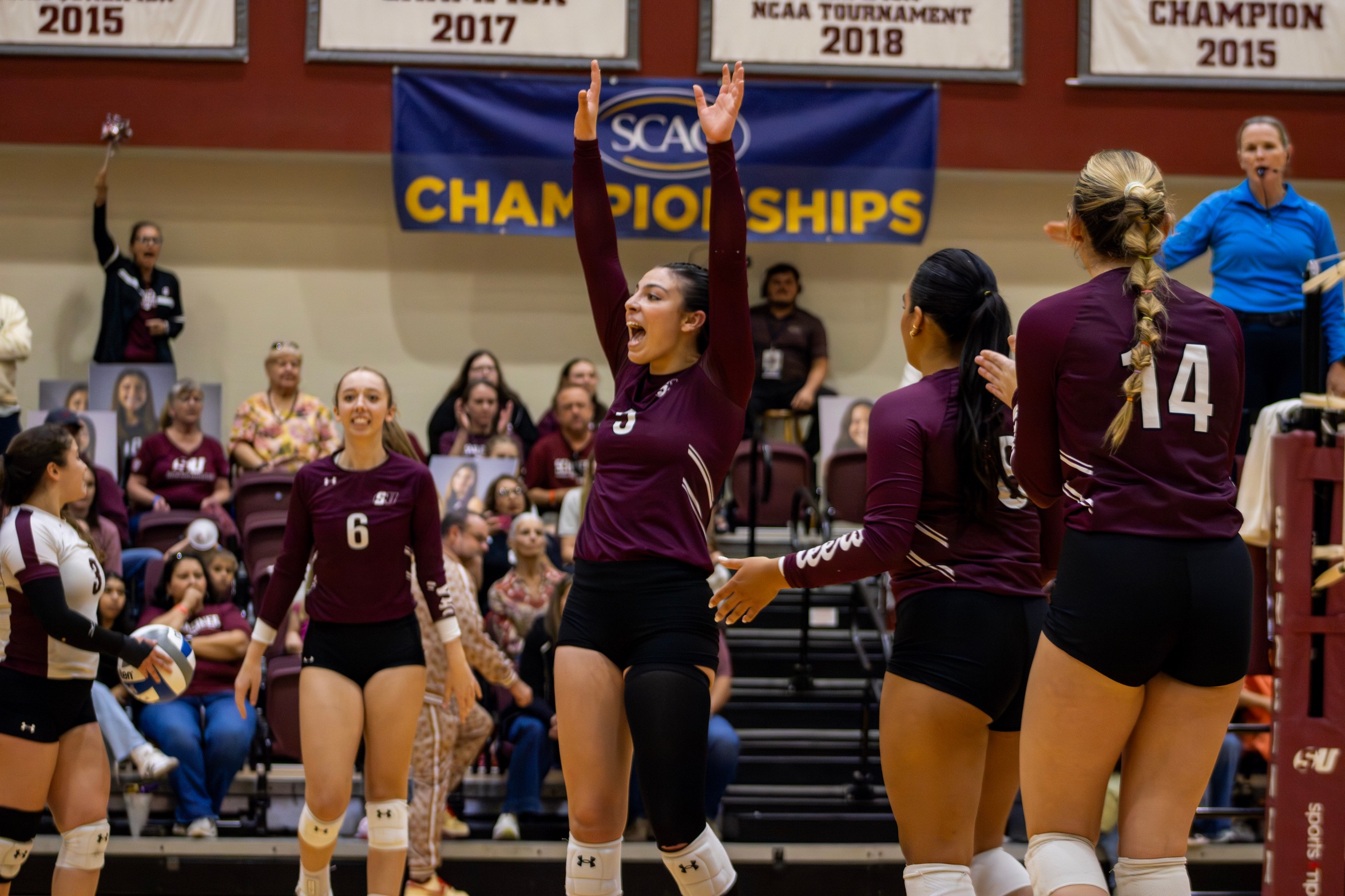 Volleyball Makes History, But Falls Short of Conference Title