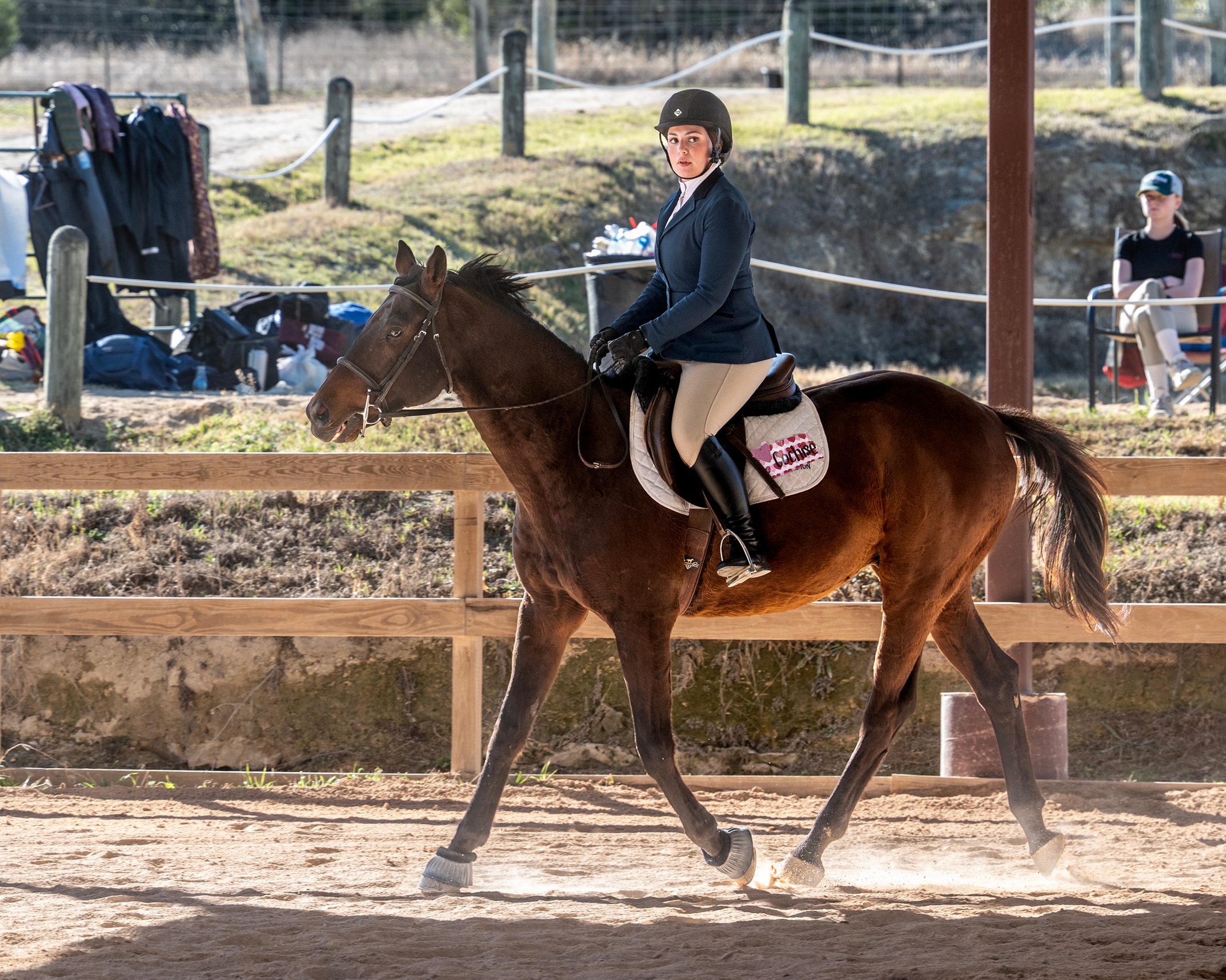 Equestrian Competes At UT